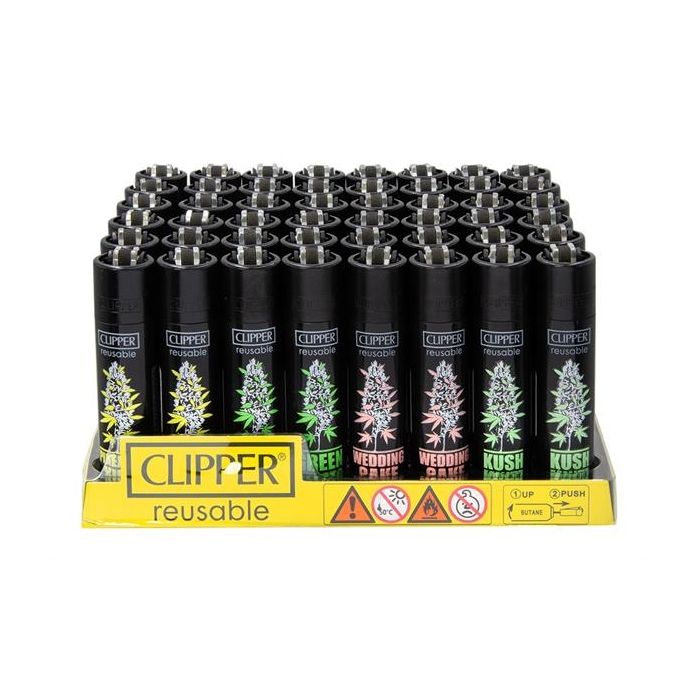 Clipper Hemp Plants, assortiert