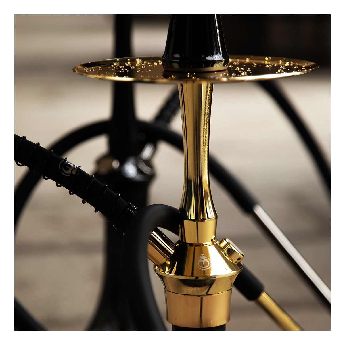 El Badia C5 V2 - Shiny Gold – vue 3